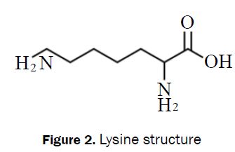 chemistry-Lysine-structure