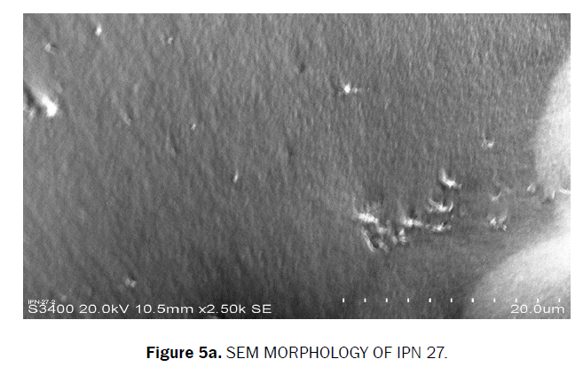 chemistry-SEM-Morphology