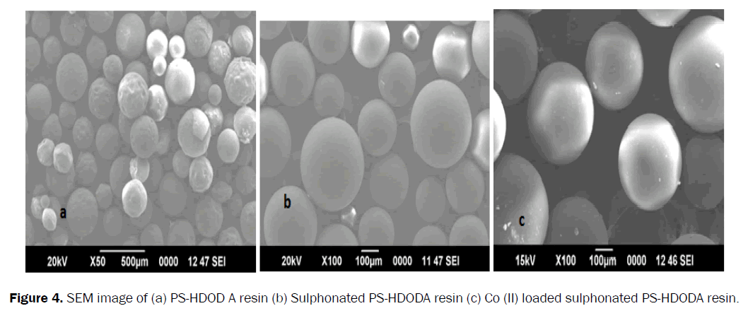 chemistry-SEM-image