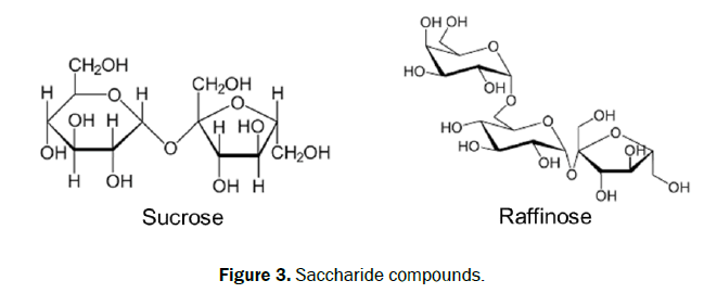 chemistry-Saccharide-compounds