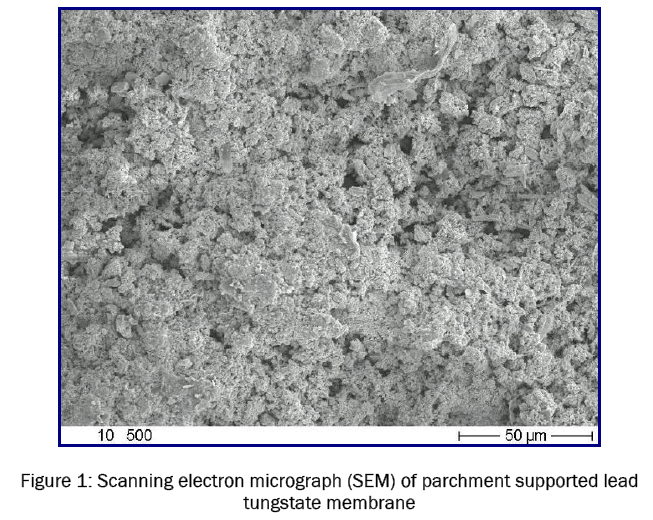 chemistry-Scanning-electron-micrograph