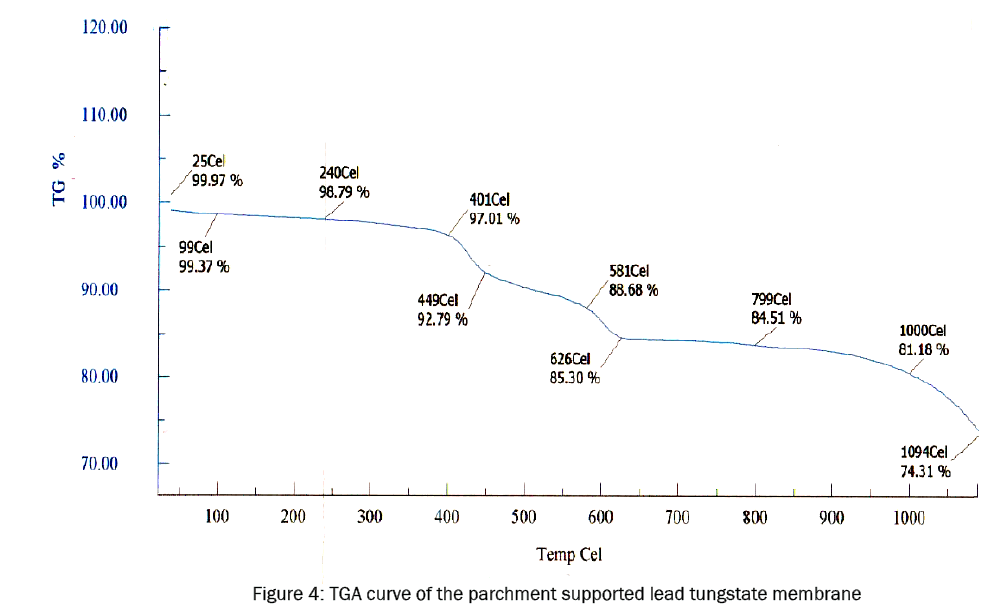 chemistry-TGA-curve-parchment