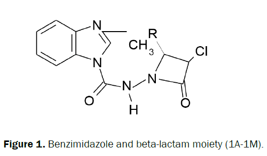 chemistry-beta-lactam-moiety