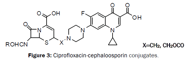 chemistry-cephaloosporin-conjugates