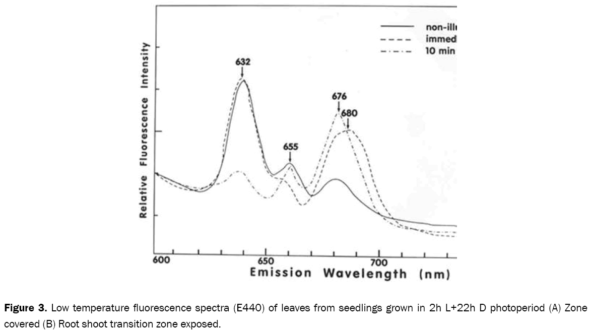 chemistry-fluorescence-spectra