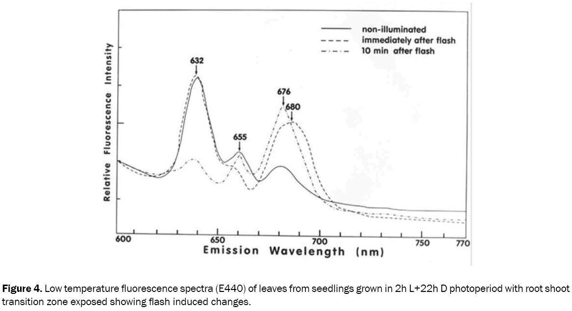 chemistry-fluorescence-spectra