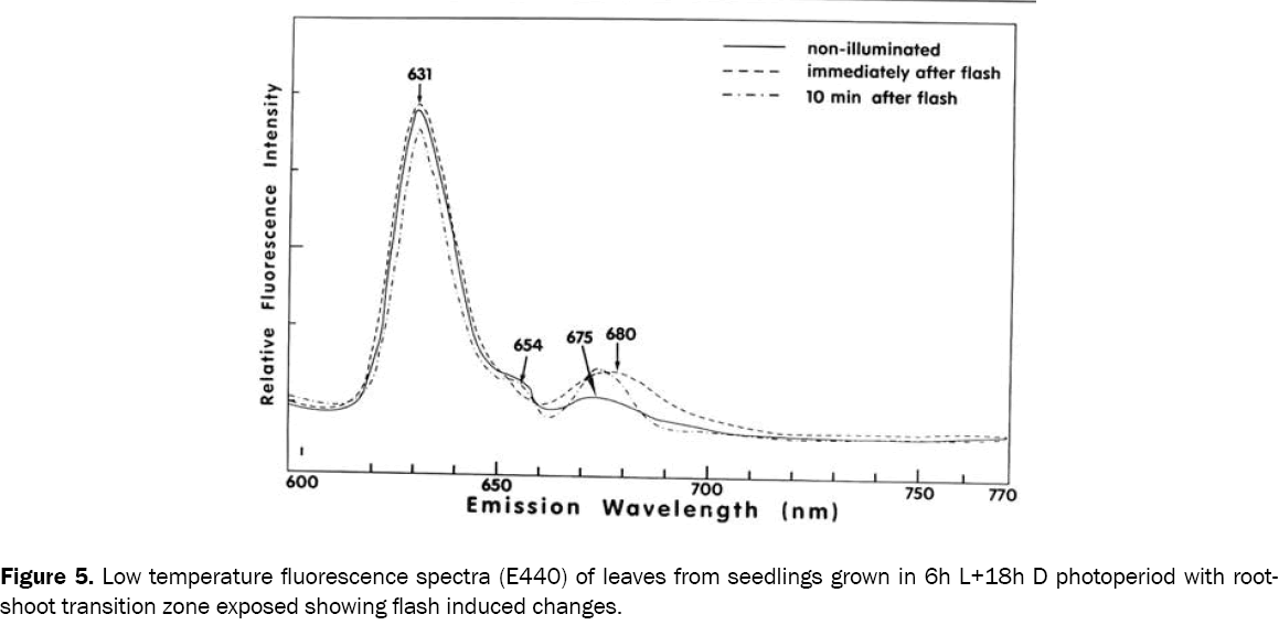 chemistry-fluorescence-spectra