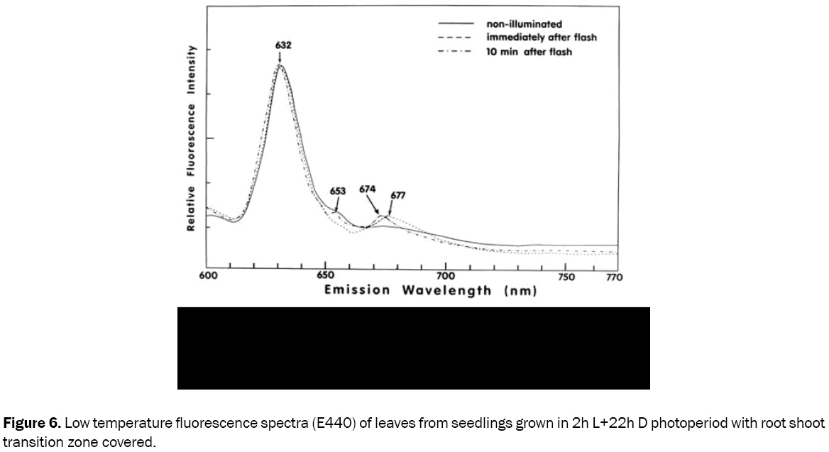 chemistry-fluorescence-spectra