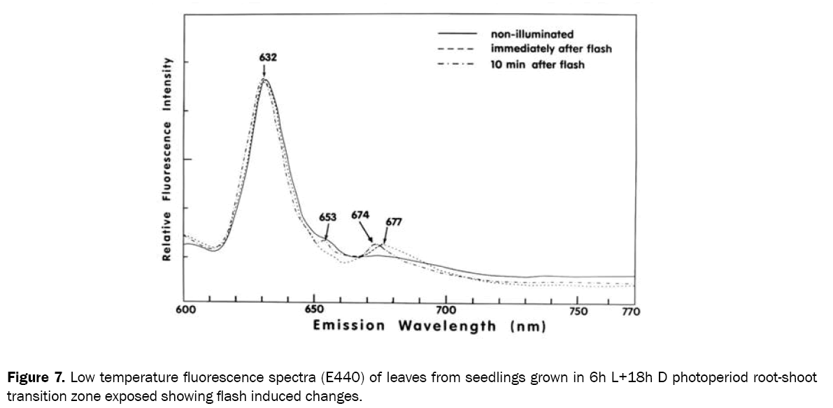 chemistry-fluorescence-spectra