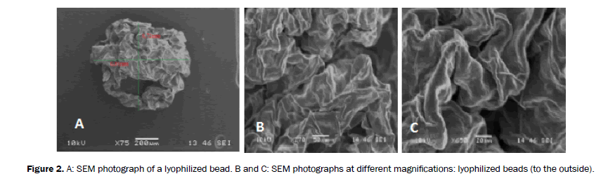 chemistry-photograph