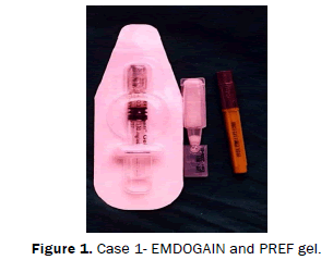 dental-sciences-Case-EMDOGAIN-PREF-gel