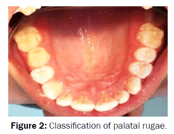 dental-sciences-Classification