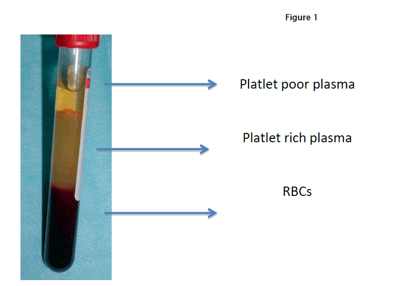 dental-sciences-Figure-1