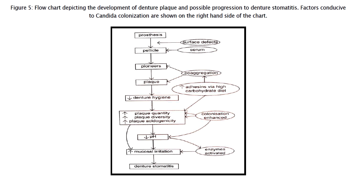 dental-sciences-Flow-chart-depicting