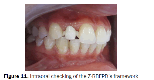 dental-sciences-framework