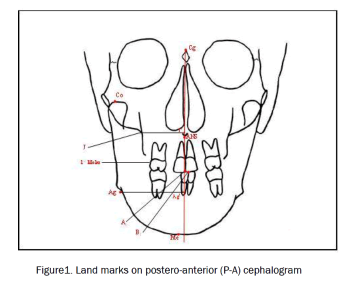 dental-sciences-Land