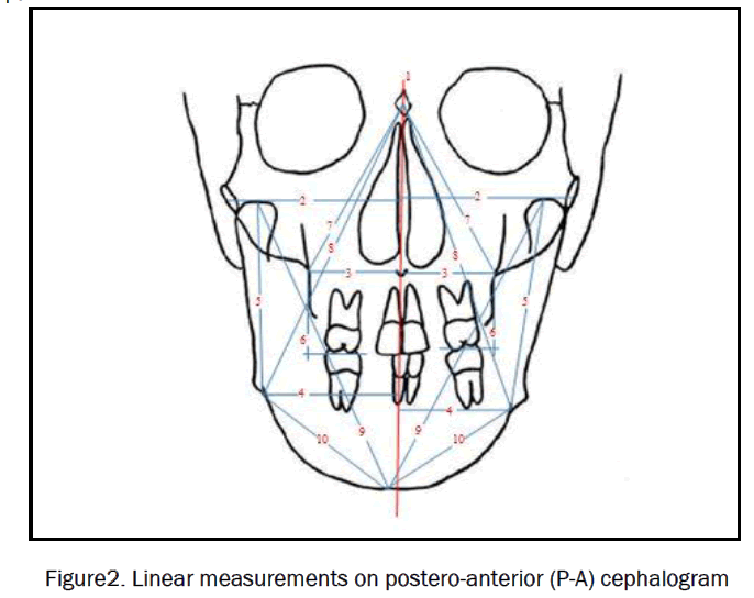 dental-sciences-Linear