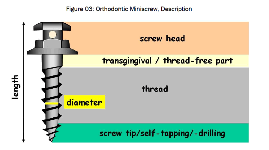 dental-sciences-Orthodontic-Miniscrew-Description