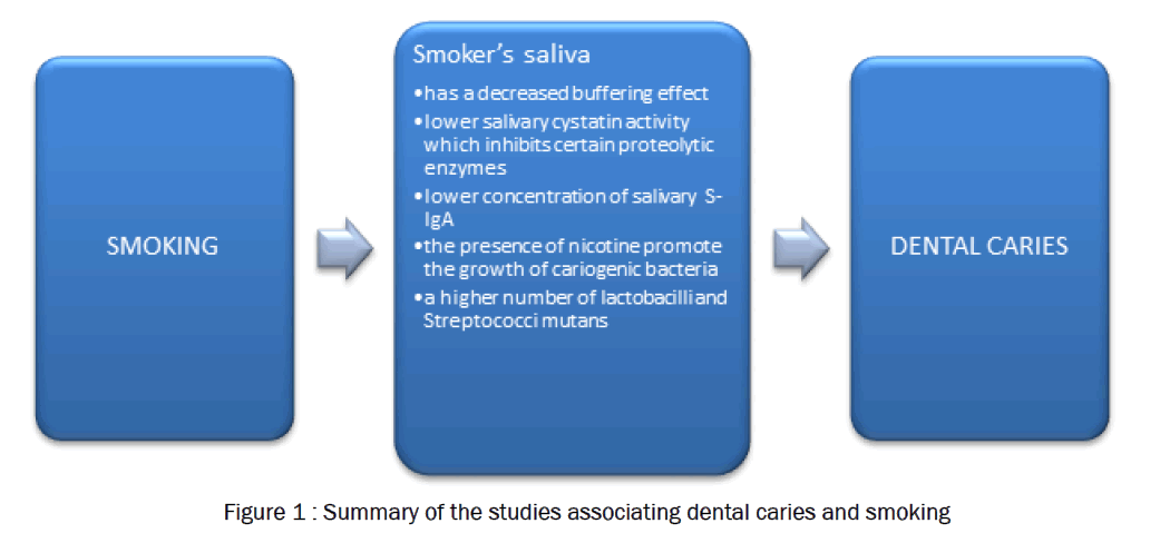 dental-sciences-Summary