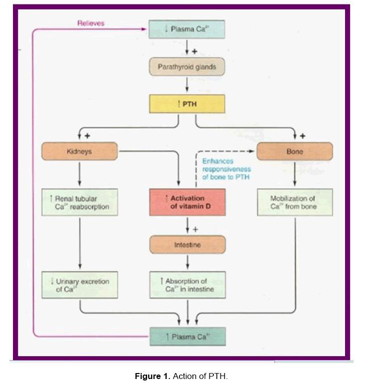 dental-sciences-action