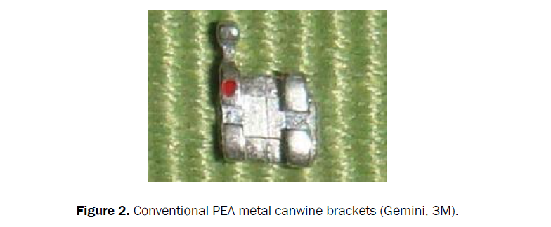 dental-sciences-canwine-brackets