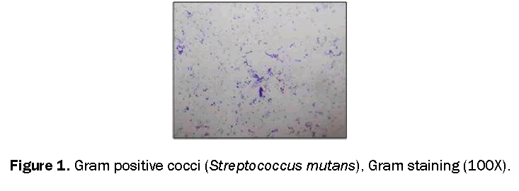 dental-sciences-chart-literature-search-cocci