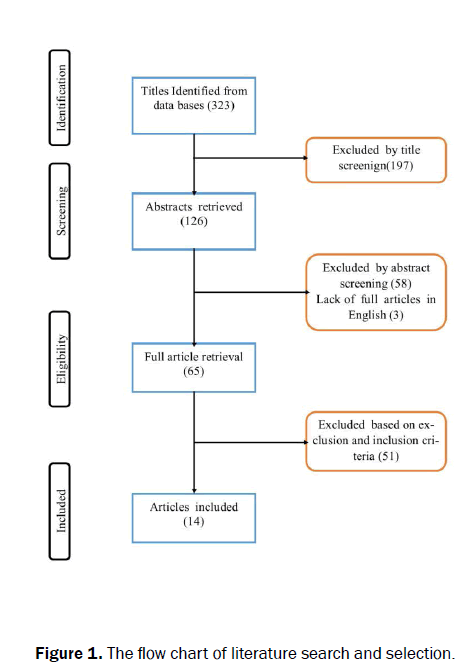 dental-sciences-chart-literature-search-selection