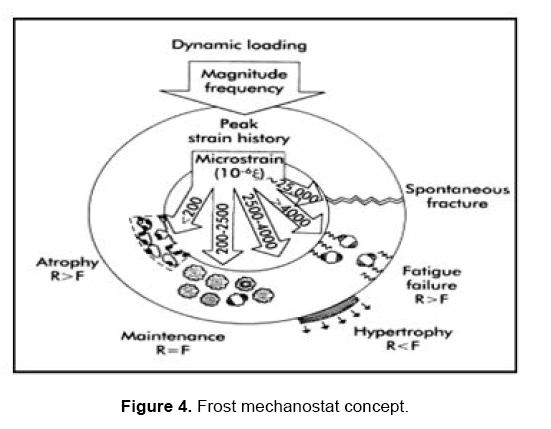 dental-sciences-concept