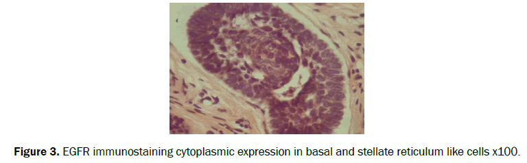 dental-sciences-cytoplasmic