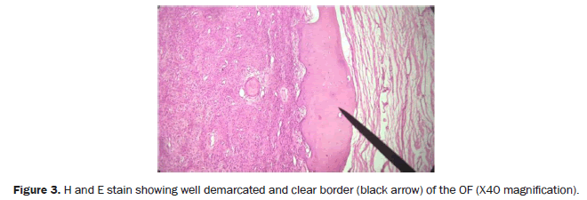 dental-sciences-demarcated