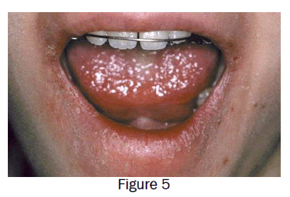 dental-sciences-figure5