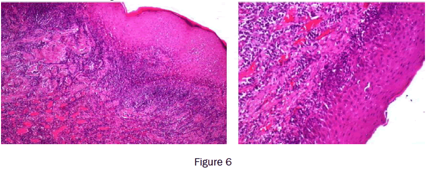 dental-sciences-figure6