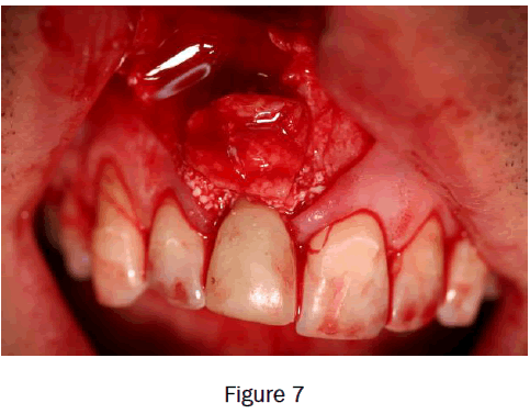 dental-sciences-figure7
