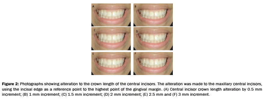 dental-sciences-highest-point