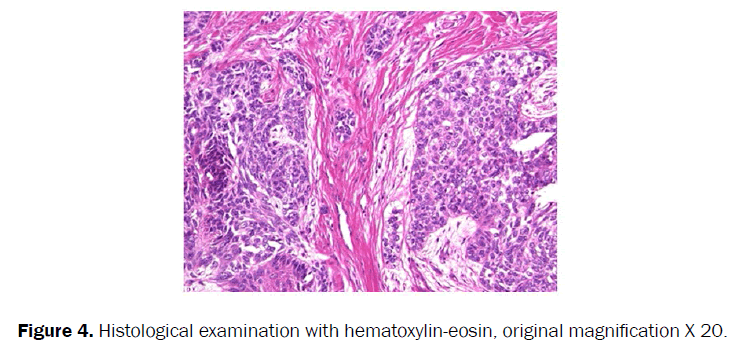 dental-sciences-histological-hematoxylin-eosin