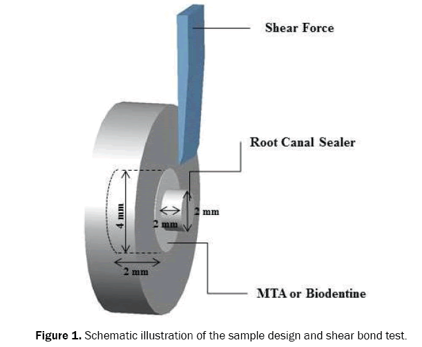 dental-sciences-illustration