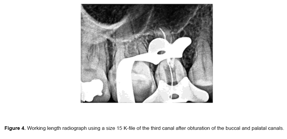 dental-sciences-length