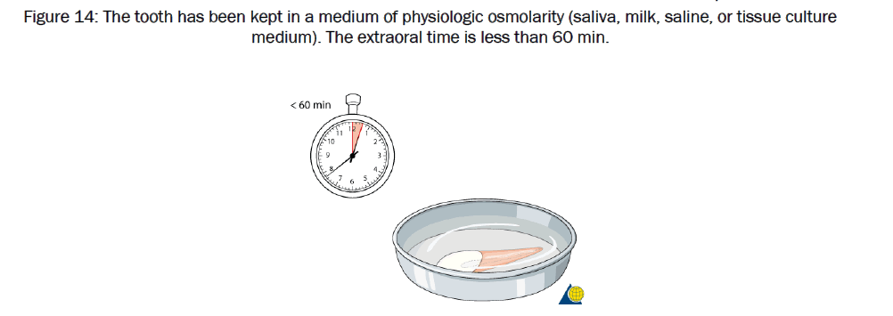 dental-sciences-medium-physiologic-osmolarity