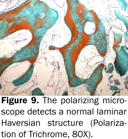 dental-sciences-microscope-detects-laminar