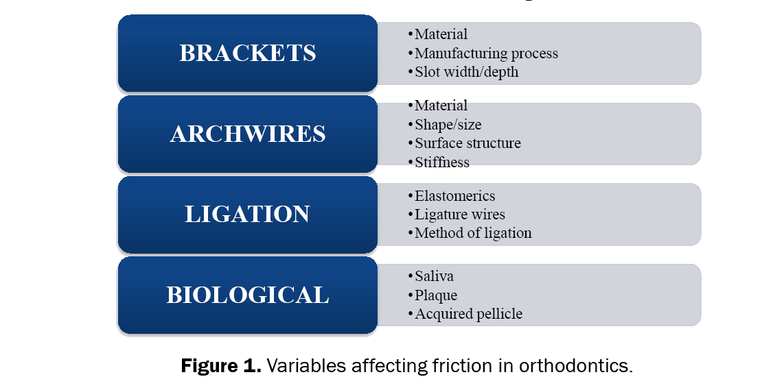 dental-sciences-orthodontics