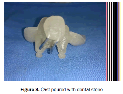 dental-sciences-poured