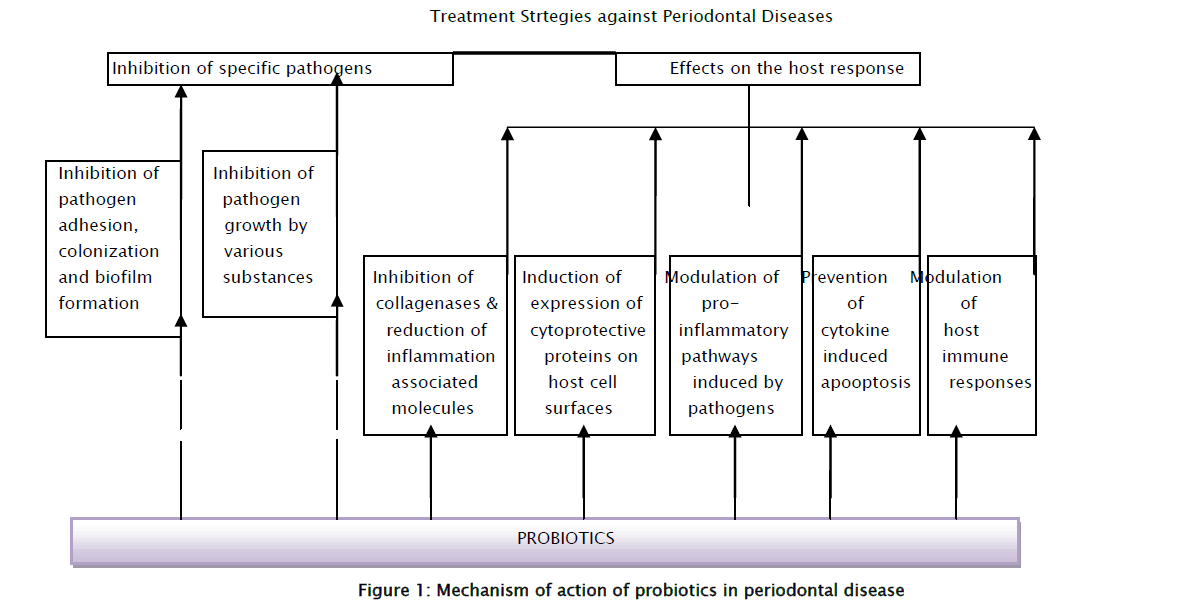 dental-sciences-probiotics-periodontal-disease