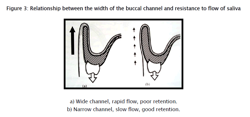 dental-sciences-resistance-flow-saliva