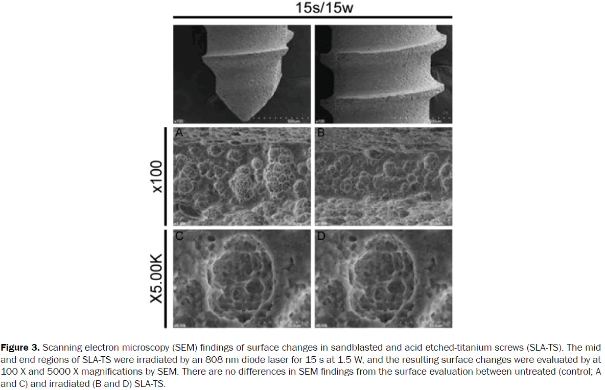 dental-sciences-scanning-electron-microscopy