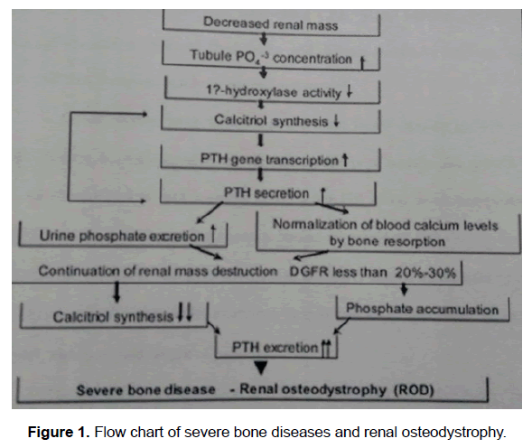 dental-sciences-severe-bone-diseases