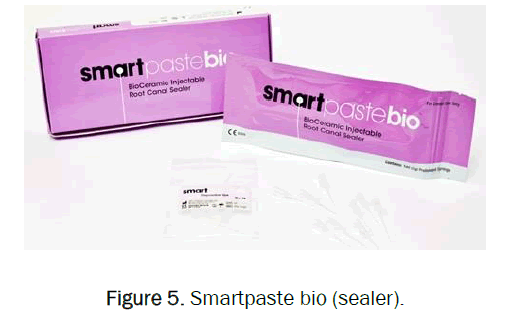 dental-sciences-smartpaste-bio-sealer