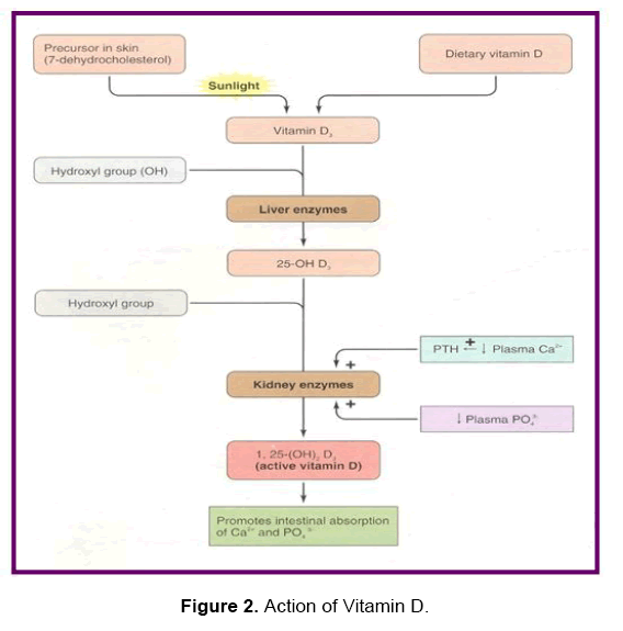 dental-sciences-vitamin