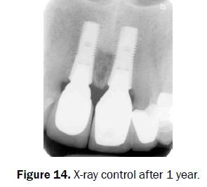 dental-sciences-year