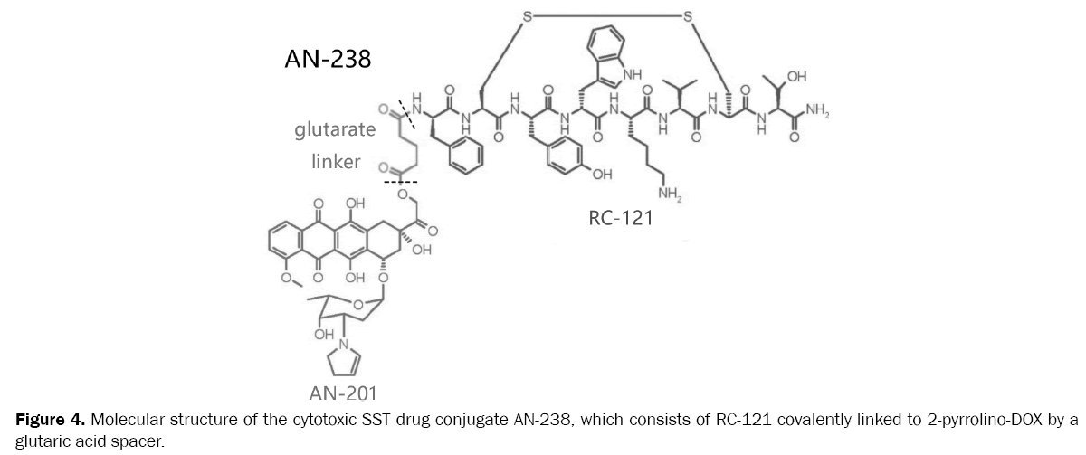 drug-delivery-cytotoxic-SST