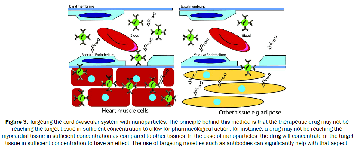 drug-delivery-targeting-moieties